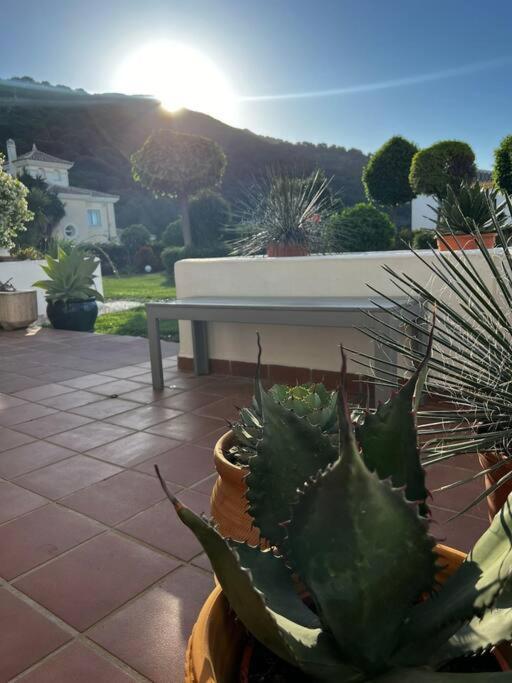 Ruim Appartement, Zonnig Terras, Alhaurin Golf! Alhaurín el Grande エクステリア 写真